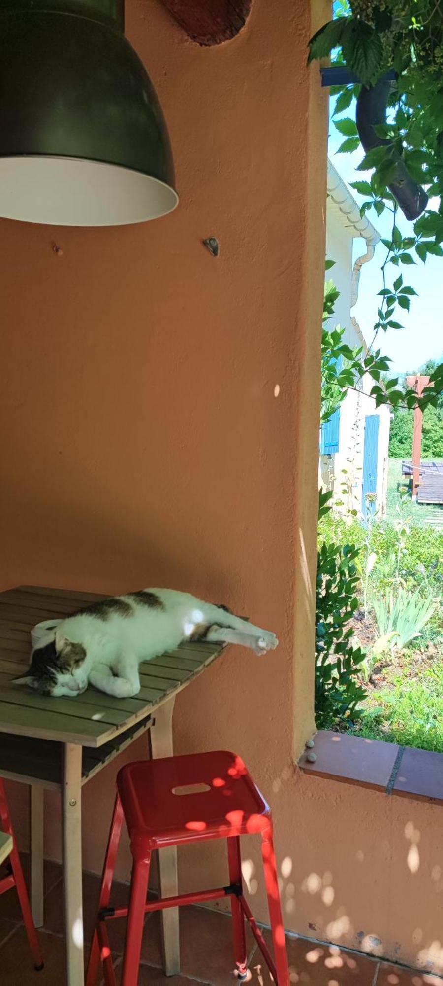 B&B Auberge Verdon La Palud-sur-Verdon エクステリア 写真